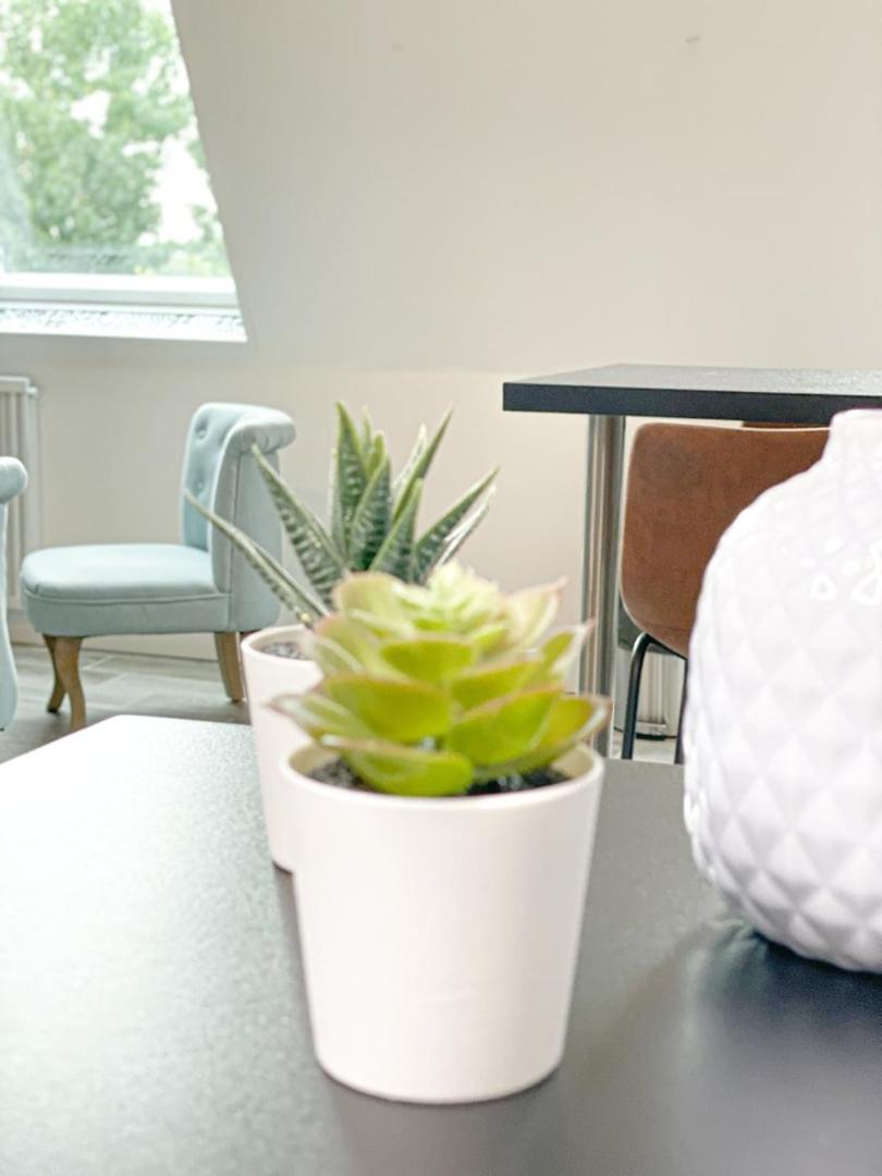 Masse Studio Cosy — Caen公寓 外观 照片